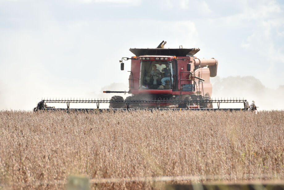 MS tem Dourados e mais 4 cidades entre as maiores produtoras de soja