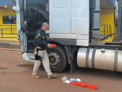PRF apreende cocaína e haxixe em fundo falso na cabine de caminhão...