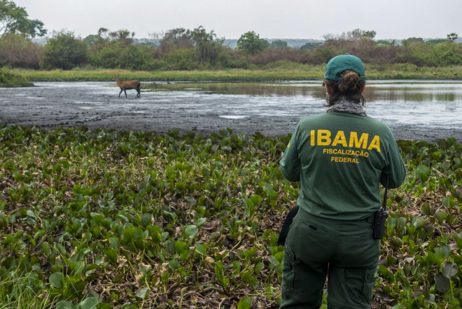 Tolerância Zero: PF e Ibama Unem Forças Contra Queimadas e Crimes...