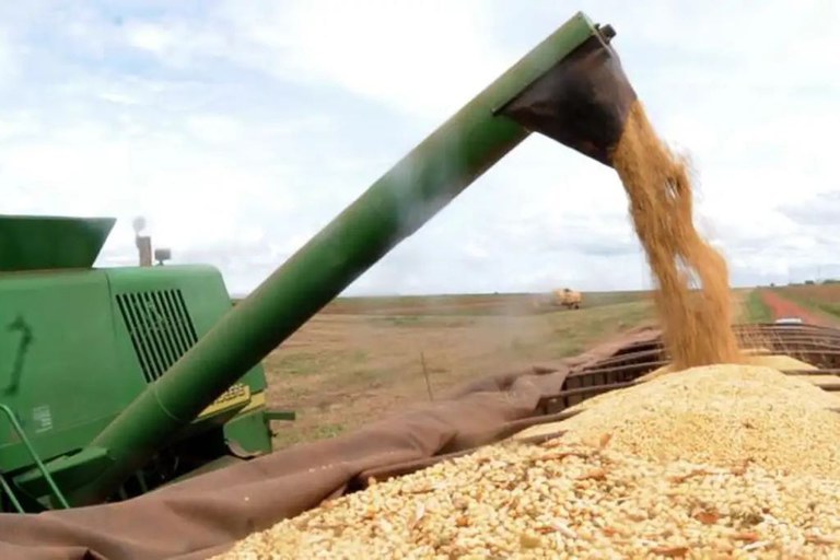 Soja recua em Paranaguá após alta, mas mercado mantém expectativa...