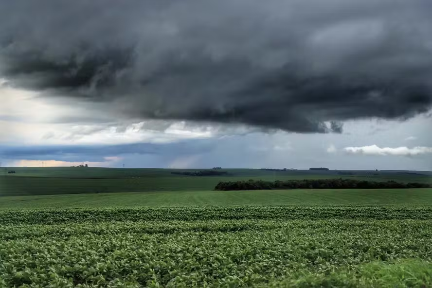 El Niño pode favorecer soja no Brasil e ajudar a equilibrar mercado...