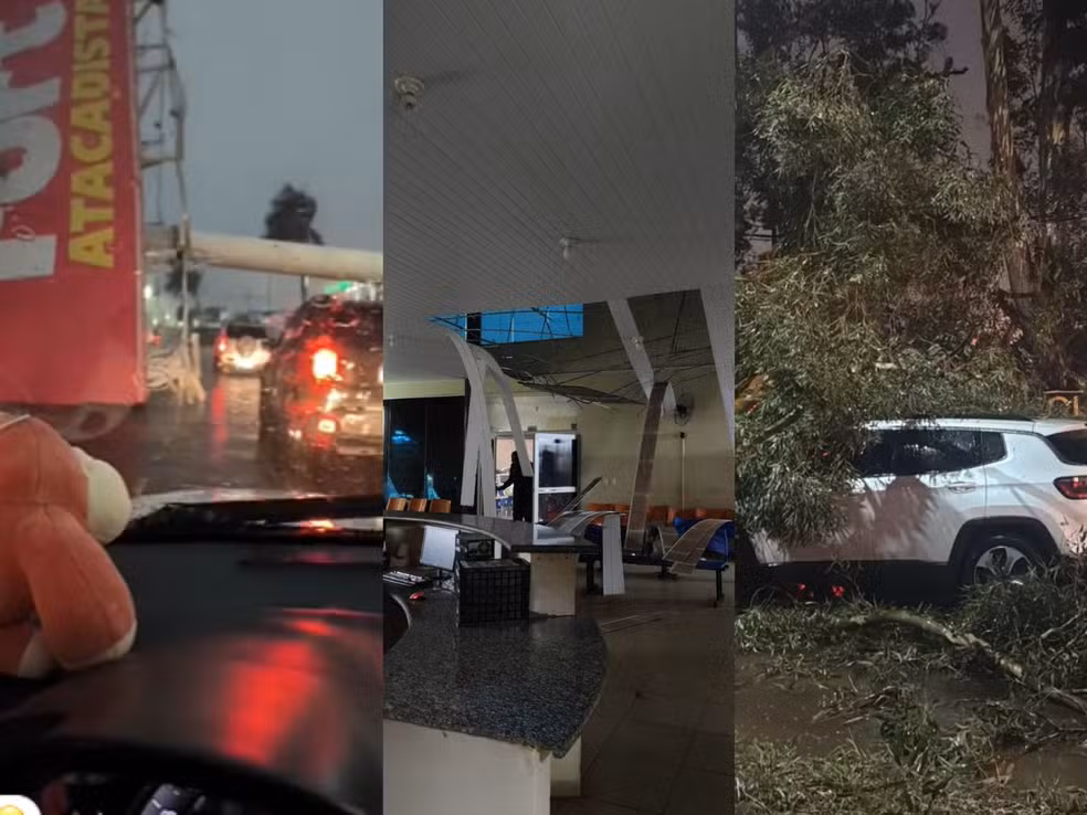 emporal com granizo causa estragos em Campo Grande, derruba árvores...